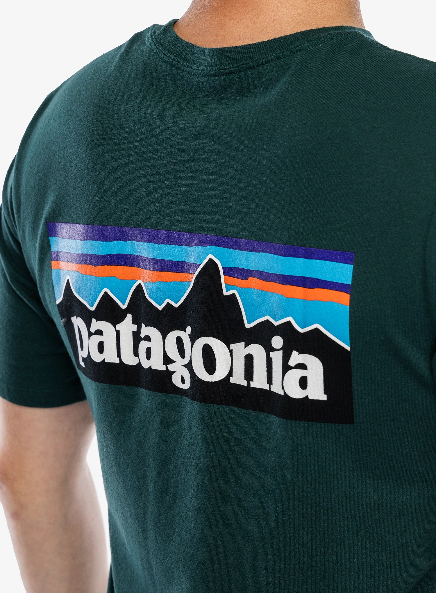 T shirt Patagonia P-6 Logo Responsibili-Tee - cascade green