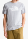 T shirt The North Face Evolution Half Dome Regular SS - grey/tnf white