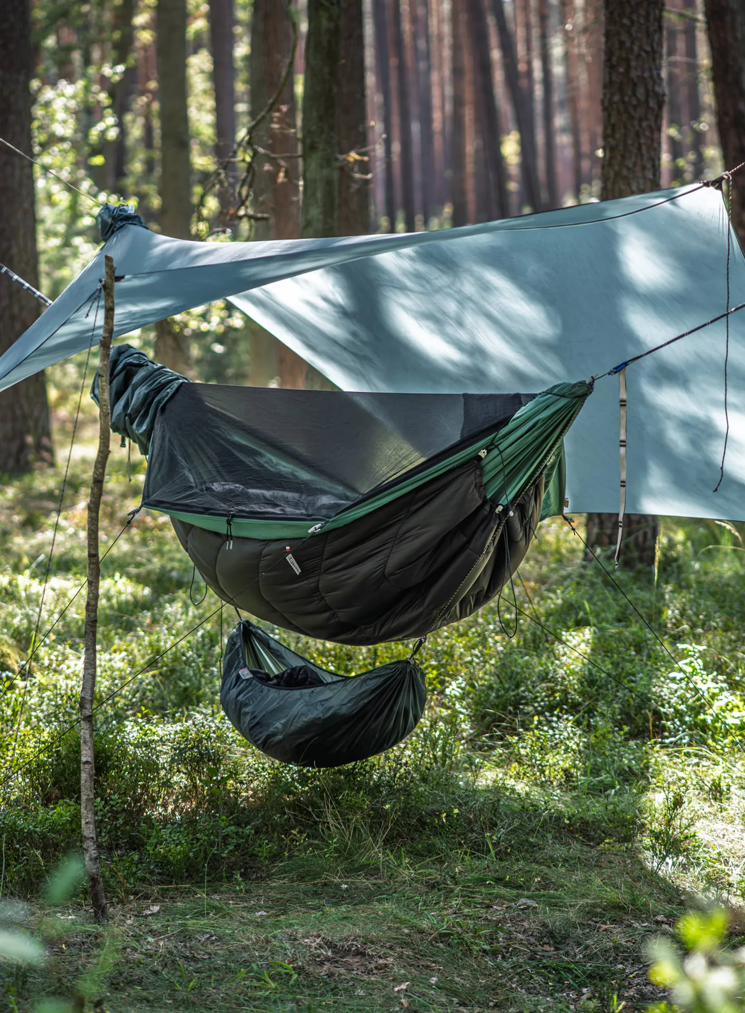 Tentas Lesovik Heksa - silver pine