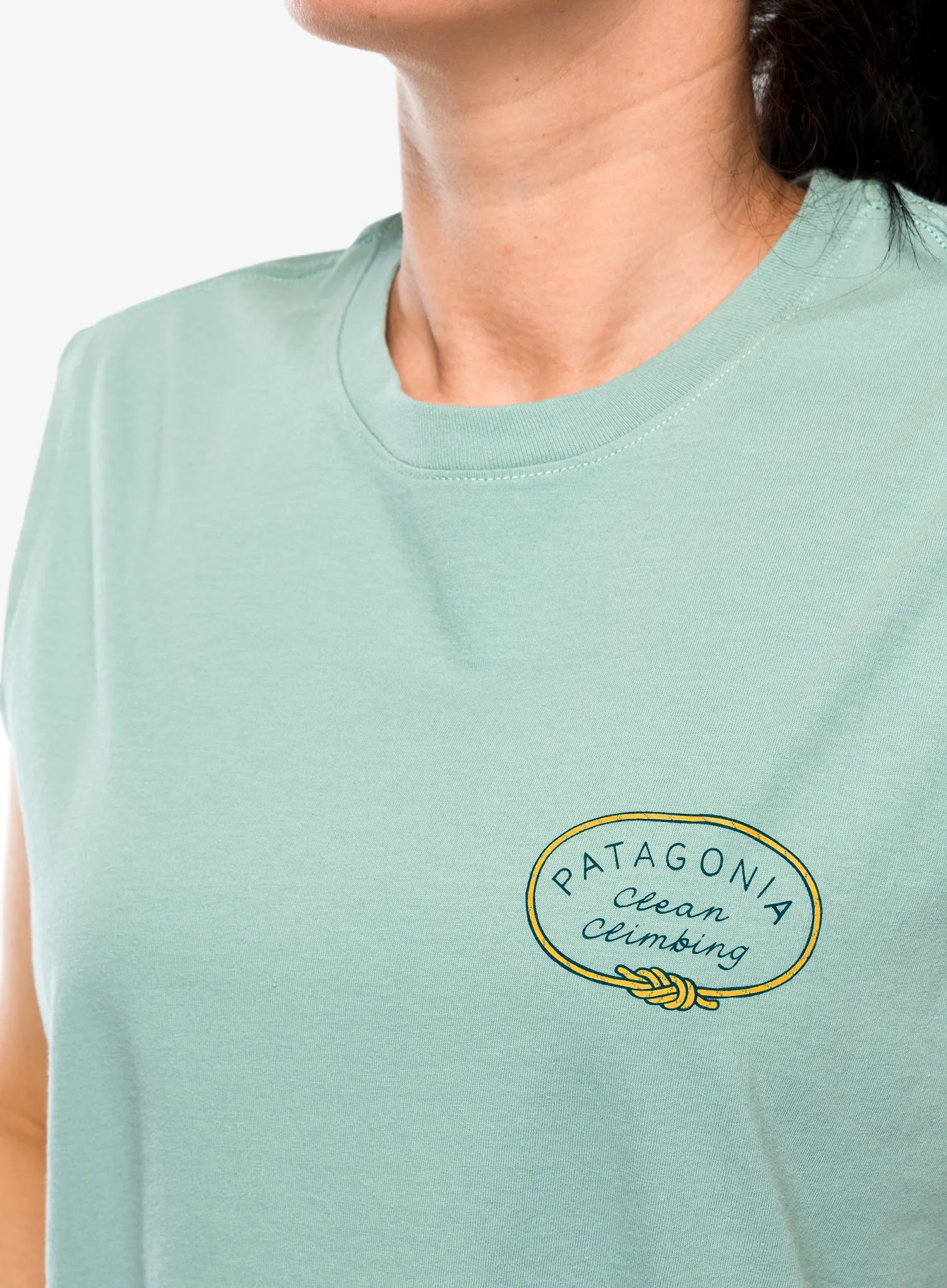 Moteriškas topas Patagonia Clean Climb Roots Boxy Organic Tank - thermal blue