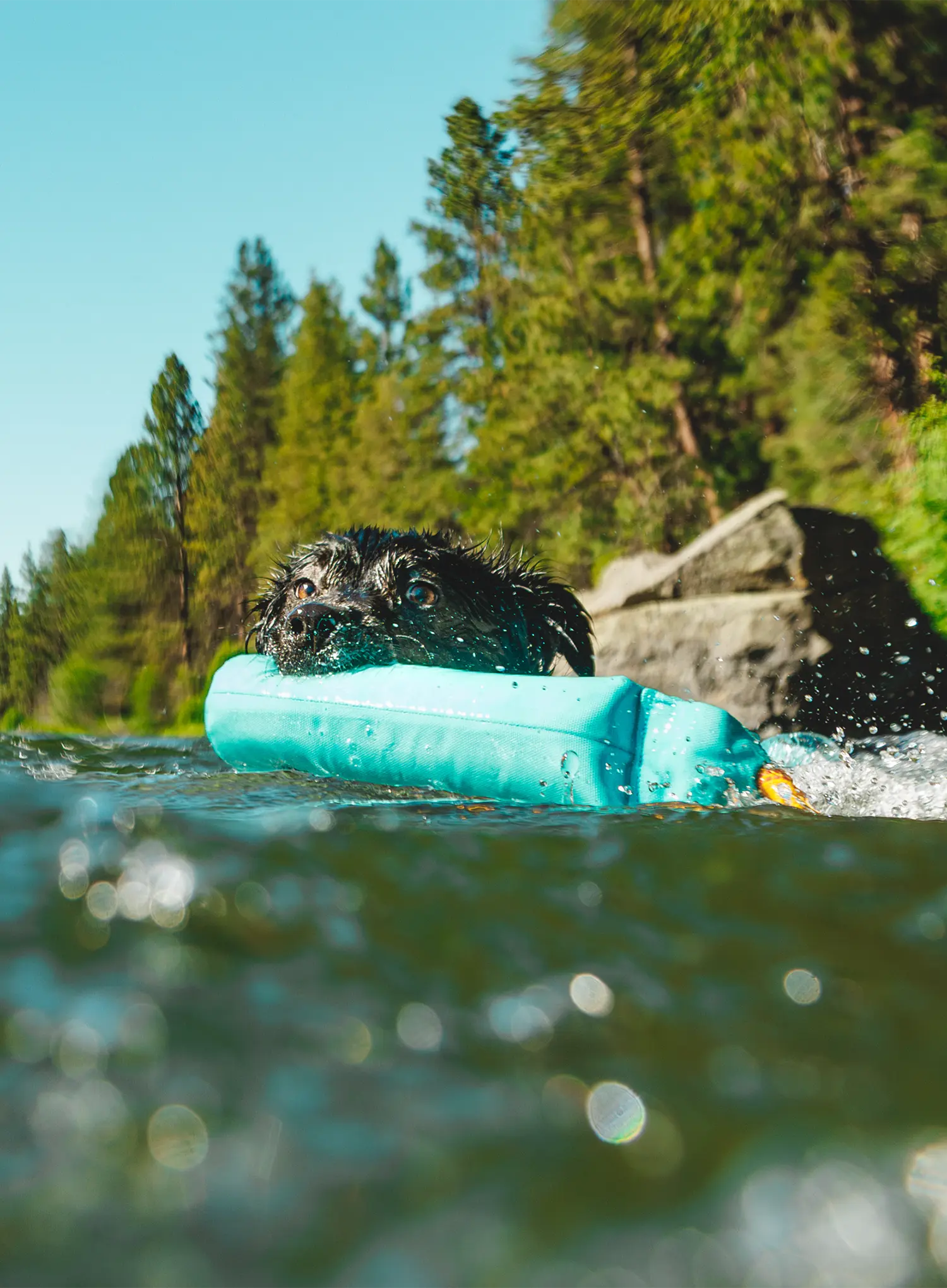 Žaislas šuniui Ruffwear Lunker Toy - biolumin blue